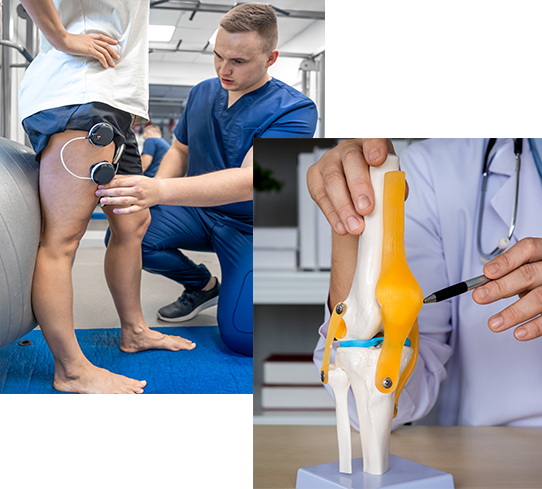Knee Arthroscopy